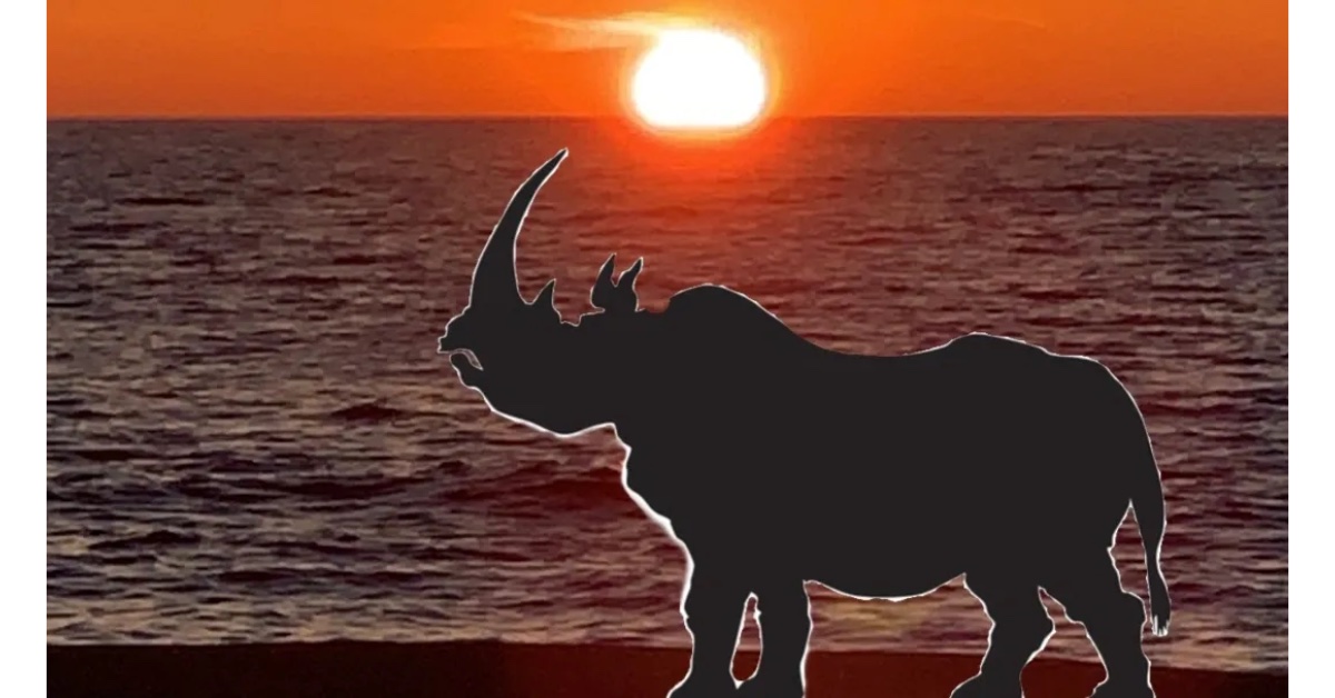 Rhino-At-Sunrise_1200x628